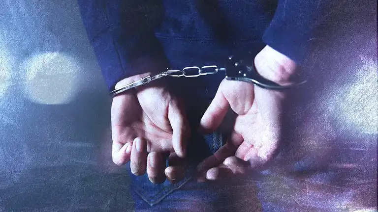 Gürcistan'dan 8 Şüpheli Türkiye'ye Getirildi